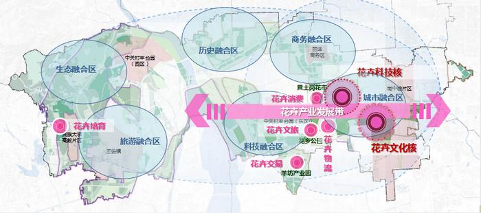 2025年1月26日 第14页