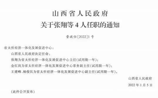 金河村最新人事任命动态概览